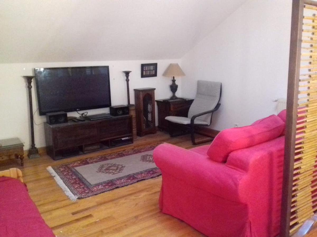 Appartement En Loft 50M2 Dans Maison Avec Chambre En Mezzanine Et Canapes Lits Dans Salon Saint-Pierre-de-Chartreuse Bagian luar foto